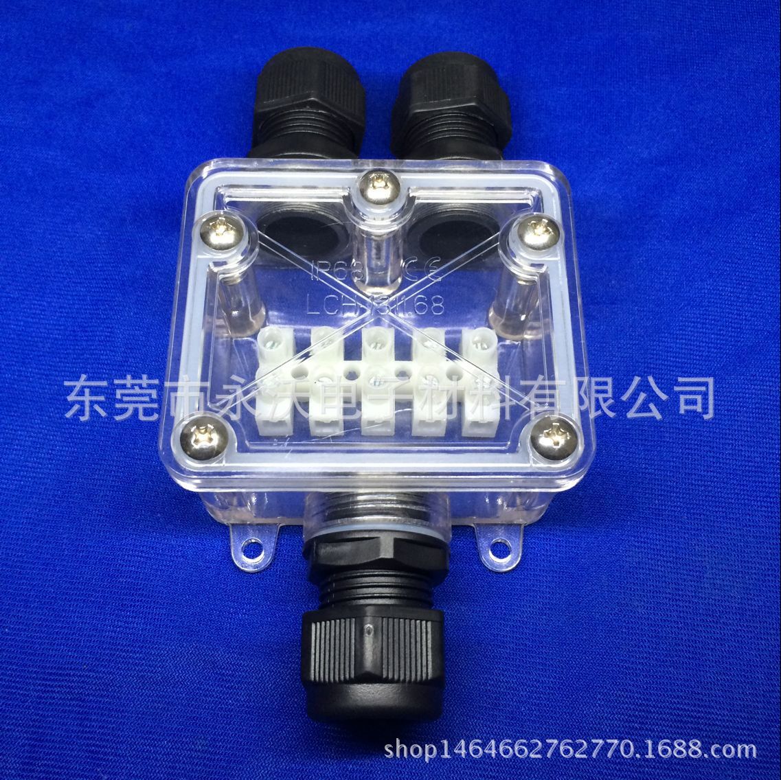 QQ图片20160614090155