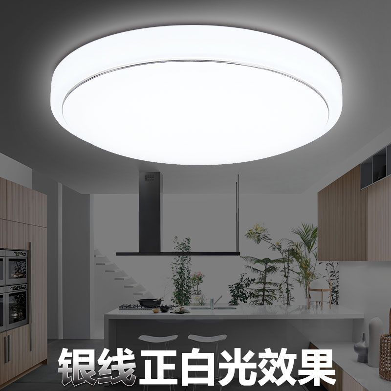 厂家供应 LED吸顶灯 金线银线圆形外壳简约阳台过道吸顶灯工程款|ru