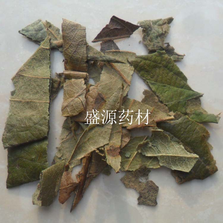 批发 杷叶 枇杷叶 琵琶叶 杷叶 批把叶 芦桔叶 大货-阿里巴巴