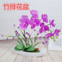 ���Ϻ��s�F����ɫ�������ϼҾ��b[�O�廨��ƿ���滨��������