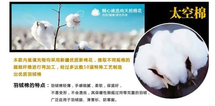 TB20E_jgpXXXXX9XXXXXXXXXXXX_!!