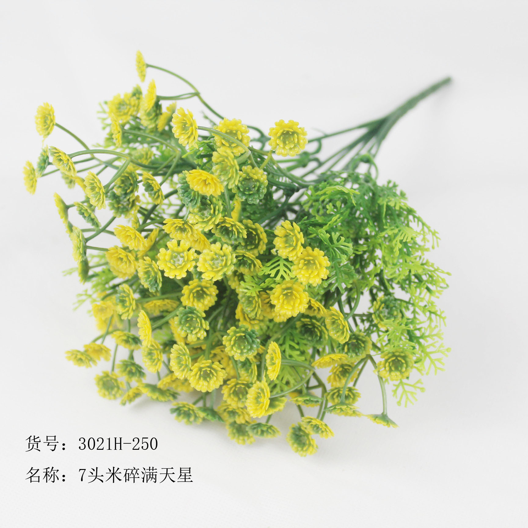 7头米穗满天星黄色