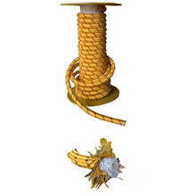 �߉������� ȫ�����ٶ����