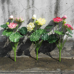 ������ 9���ָкɻ�ɏ��֧ ��ظɻ��ٻ��z���������滨���l