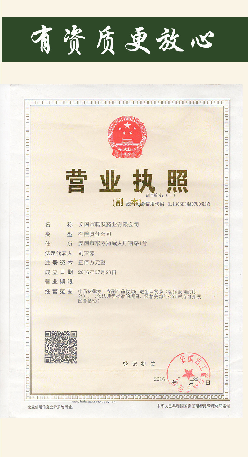 Huang Bai Phellodendron Bark Bulk Dried Herb Sichuan Origin Traditional TCM Decoction Material specifications