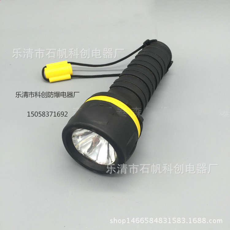 BDT-3V 防爆手电筒 TBY6260A JW7621