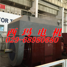 YKS8001-8 2500KW/IP55/6KV西玛牌/高压电机检修