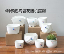 2016新款 陶瓷多肉小花盆 创意纯手工捏花DIY肉肉植物陶瓷盆批发
