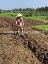 L-20Bţ硢,PLOUGH,