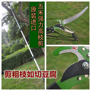 ԭ�b�M��̨����һ�ɴ�����֦����֦��3.5�׸�֦䏏����������֦