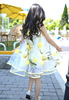 Summer shiffon summer clothing, beach beach dress, vest, long skirt, floral print, western style, suitable for teen