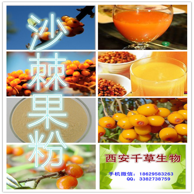 沙棘果粉