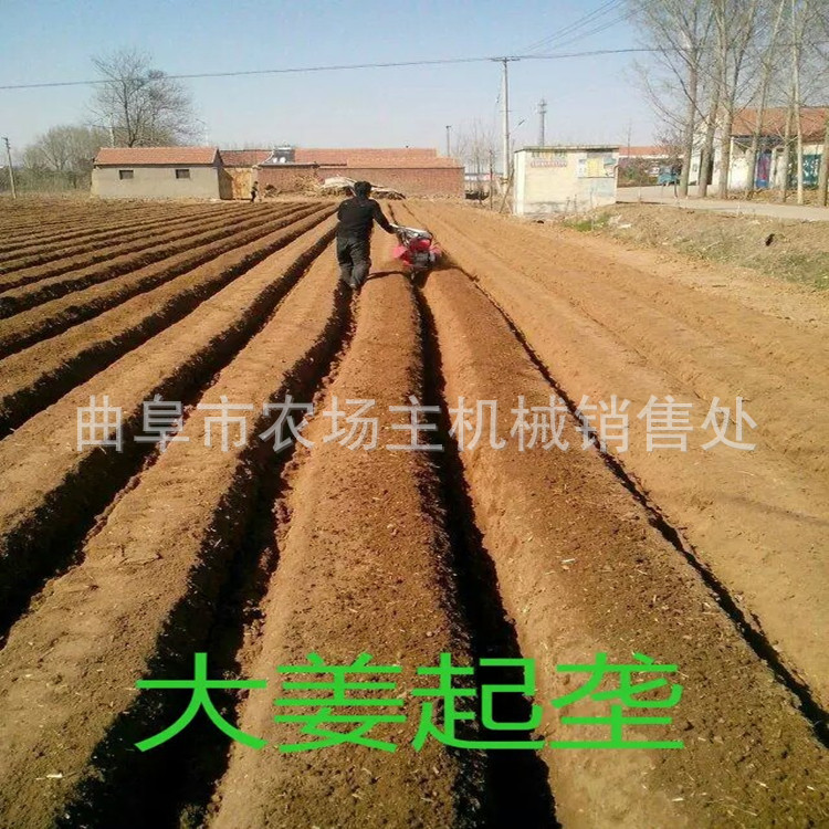 1454761942022_副本