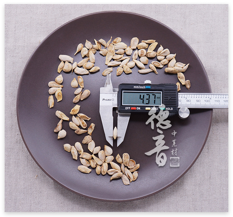 Dried Tangerine Seed Ju He 500g Sichuan Raw Herb for Decoction and Culinary Use quality and texture