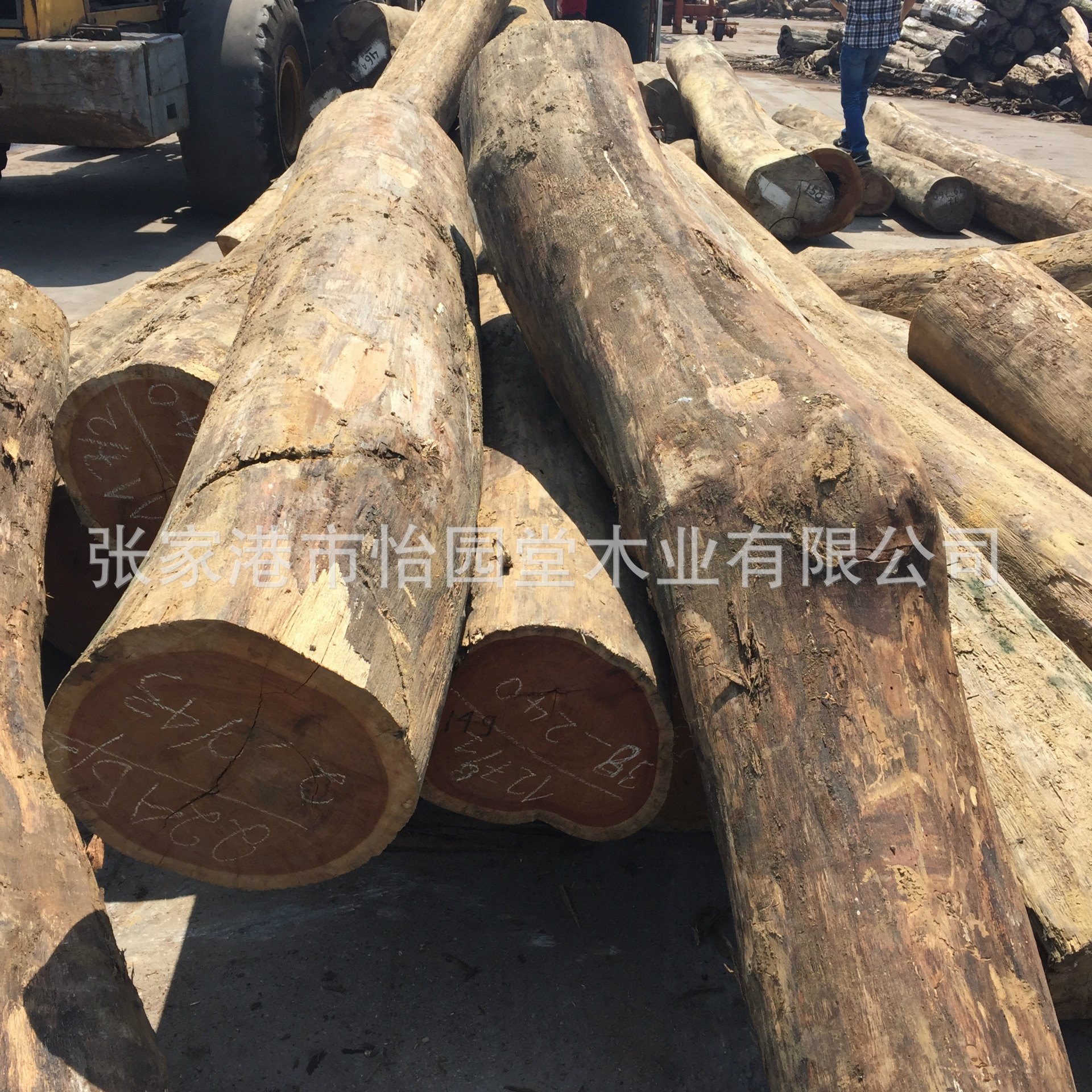 大果紫檀原木,大果紫檀木材,大果紫檀红木_大山谷图库