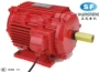 三相异步长期6kw-8电动机