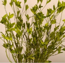 手感高仿真花小叶藤蔓藤条可弯曲造型PE绿植树枝装饰花艺花卉插花