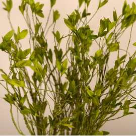 手感高仿真花小叶藤蔓藤条可弯曲造型PE绿植树枝装饰花艺花卉插花
