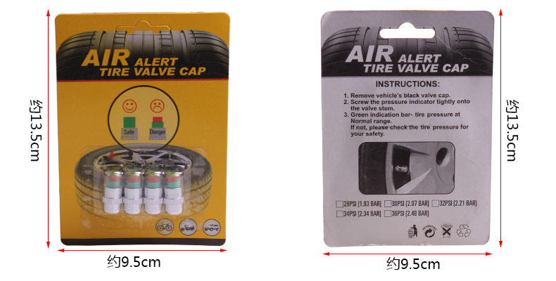 輪胎氣壓監(jiān)測氣門帽_19