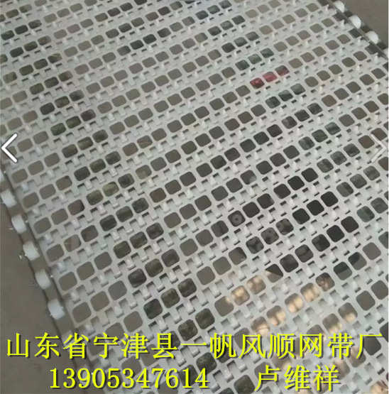 清洗机网链、网带-6658