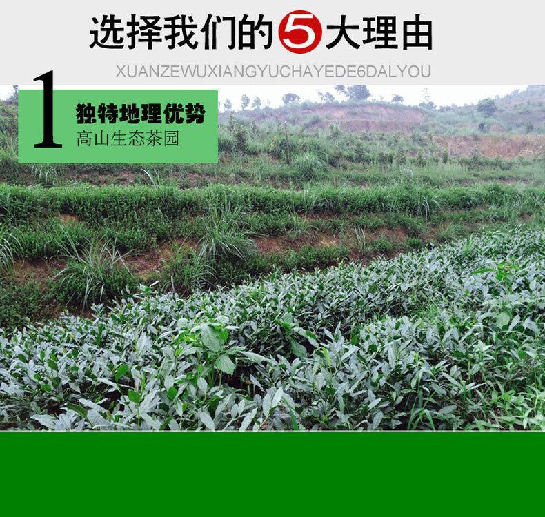 2499563333_576435656 (1)