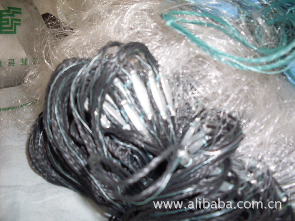 71d837a66b4c156af9053da4de19eb