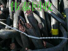 V|؅^̩չ˾T.؈U|.SUġ