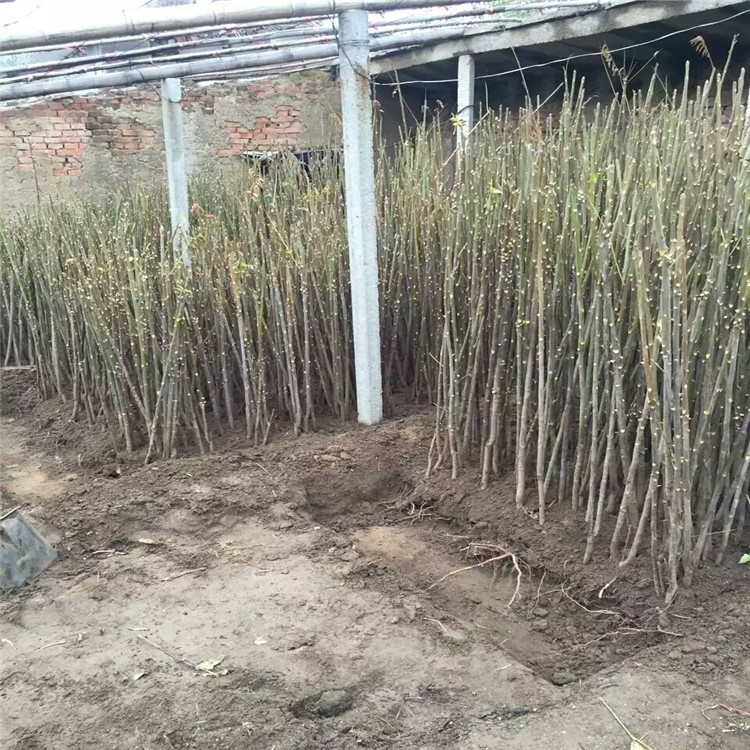 QQ图片20160908210654