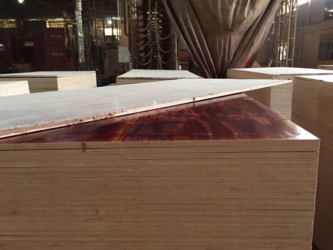 QQ圖片20160303084654