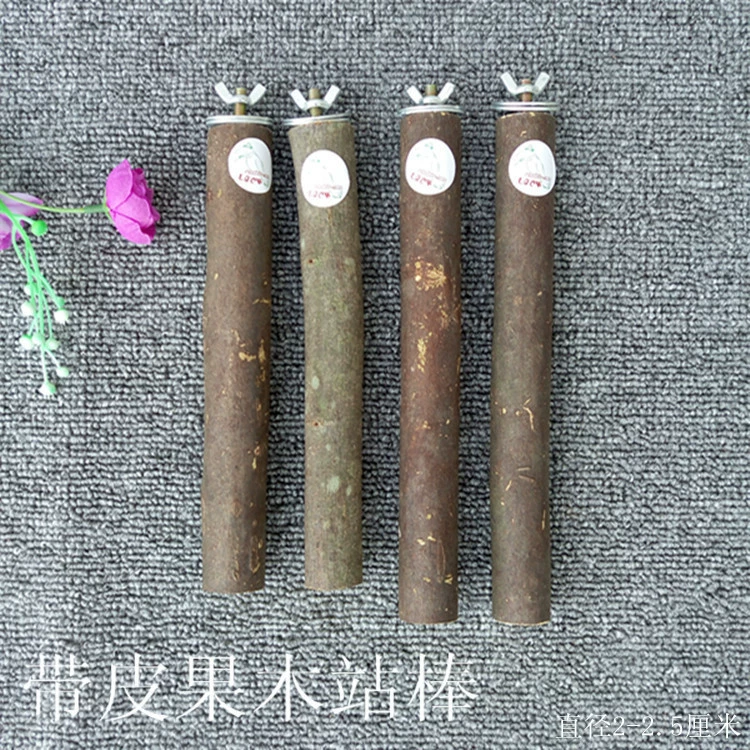 Шлифовальная палка для попугаев полюс принадлежности для птиц клетка для птиц Тоторо белка коренные зубы Птичье гнездо шлифовальная палка для когтей с кожей фруктовая деревянная станция