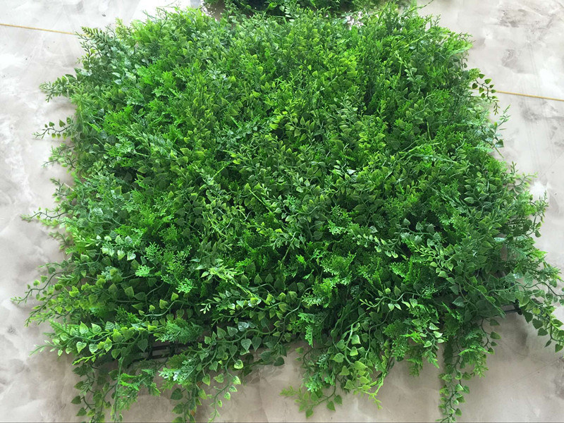 QQ图片20160707150331_副本