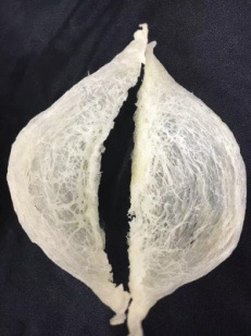 如何辨别真假燕窝，如何挑选质量上乘的燕窝782 / author:小丸子001002 / PostsID:316766