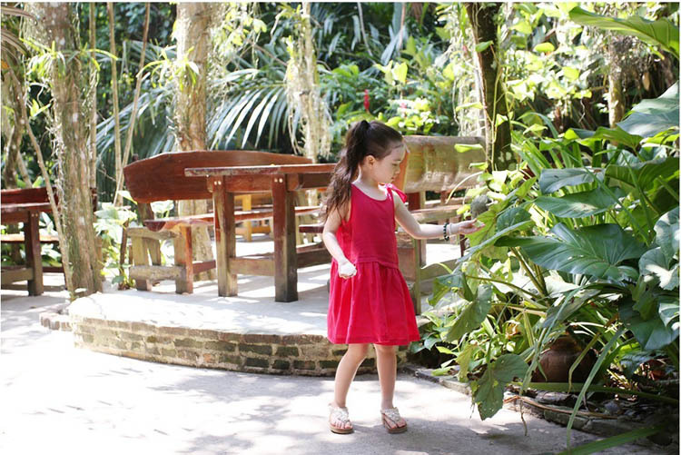 TB2fk3idXXXXXbaXXXXXXXXXXXX_!!