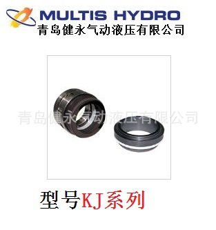 韩国原装MULTIS HYDRO机械密封圈KJ/TR/VCS/VN系列价格优惠