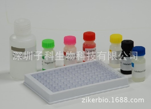 高效小鼠白细胞介素4（IL-4）ELISA试剂盒，迅速评估免疫反应