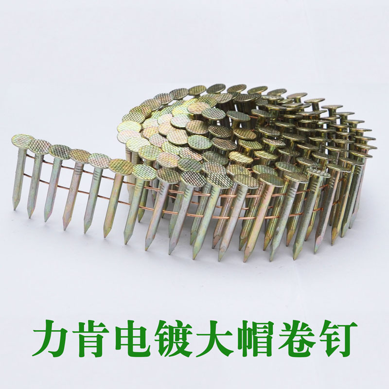 Manufactor Produce Large cap Coil nail electroplate Coil nail length Customized Exit Model Tray Chalet make