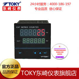 TOKY东崎仪表 CA系列CA9G-RB60 计长计数器 双6位显示高性能内核