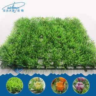 ~bˮˮ쾰Ʒb~׷Ƥƺٲݵl