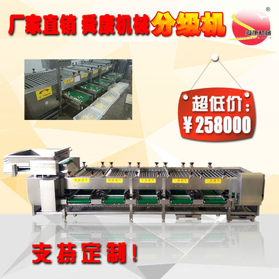 直销大蒜五级分选机蔬果大小分级机速度快省人工|ms