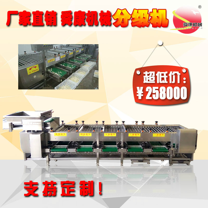 直销大蒜五级分选机蔬果大小分级机速度快省人工|ms