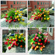 ����ˮ���辰���O��ʯ����Ә�â�����ә������ԼҾӿ͏d�bٻ�