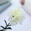 Factory Direct Sale Carnation Simulation Flower Wholesale Single Pseudo -Flower Decoration Silk Flower Mother's Day Decoration Teacher's Day spot