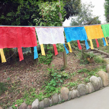 ���S��ֱ�N������������Ʒ��ʽ��콛ᦼ��h�L�R��