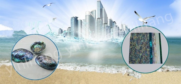 sy_20110_副本_副本新图