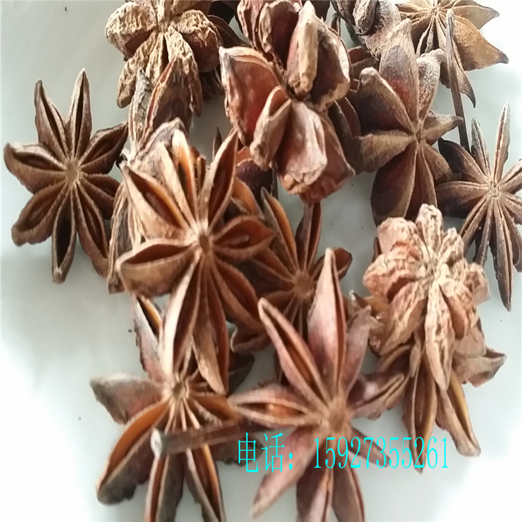 广西大红八角 大料 大茴香卤料 香料 烧菜 卤菜 调料味品