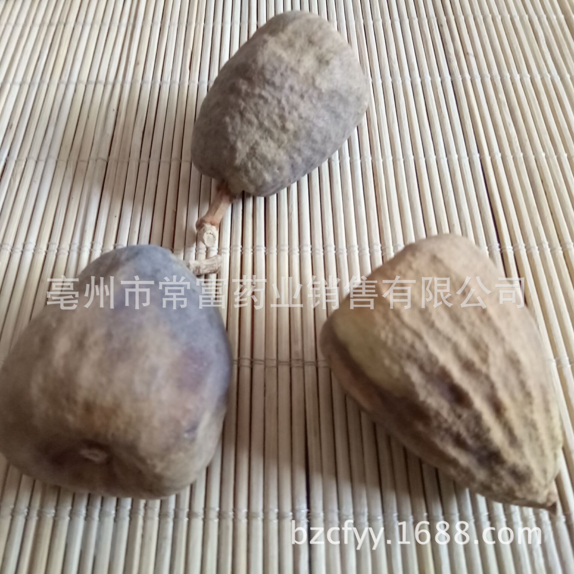 Dried Mu Lian Guo Fruit 木莲果 Whole Form Traditional Herbal Ingredient 500g specifications
