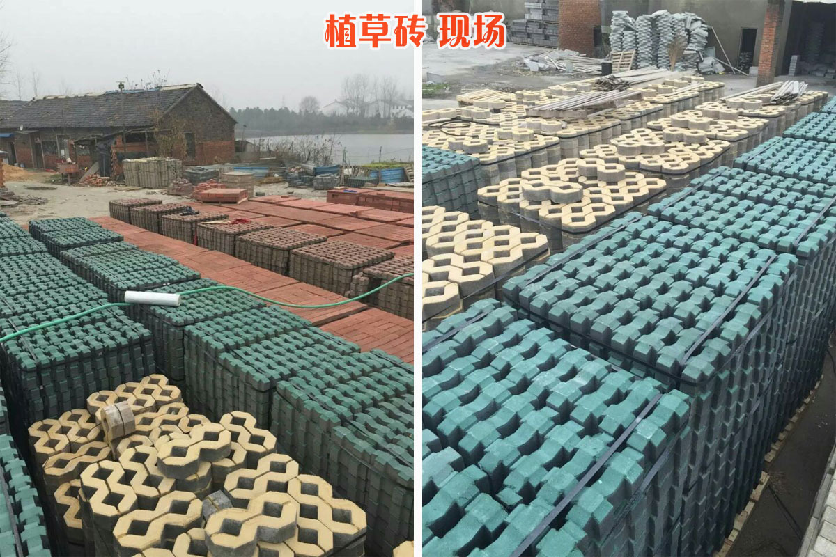 2680496281_433872321 (1)