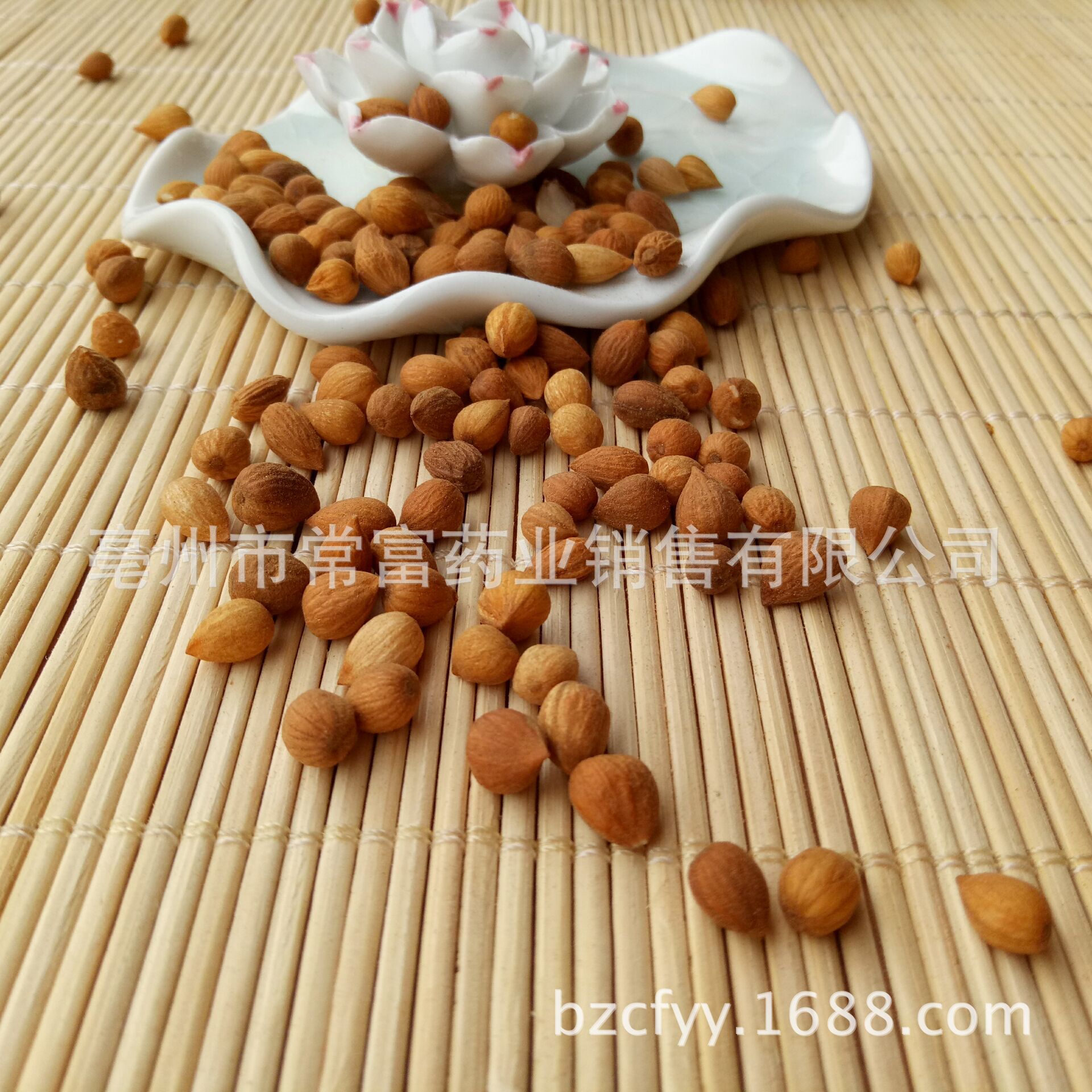 Chinese Bush Cherry Seed Yu Li Ren Prunus humilis Dried Herbal Seeds 500g for Culinary and Decoction Use key features