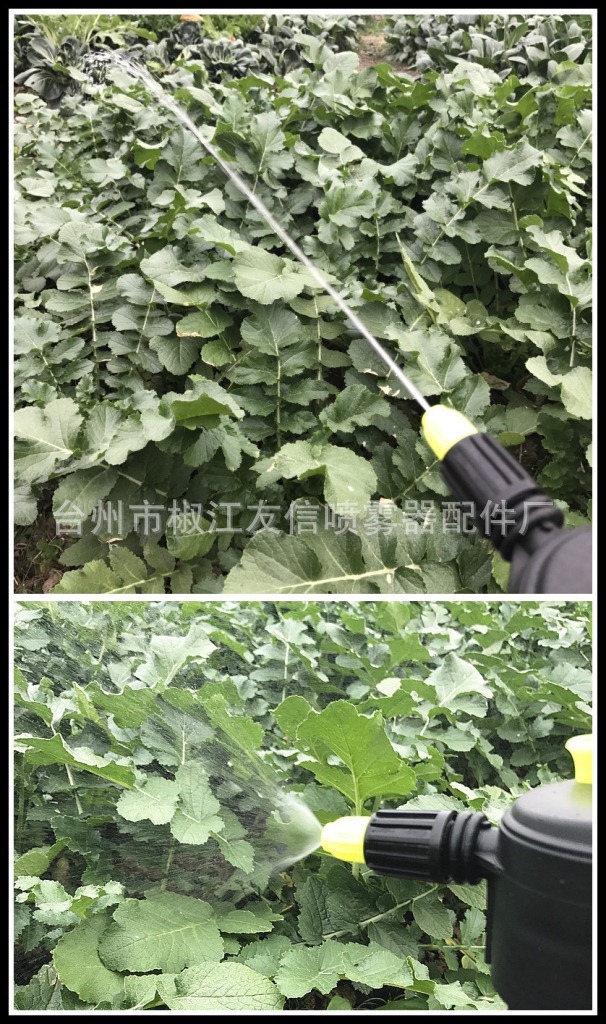 IMG_3228_副本_副本