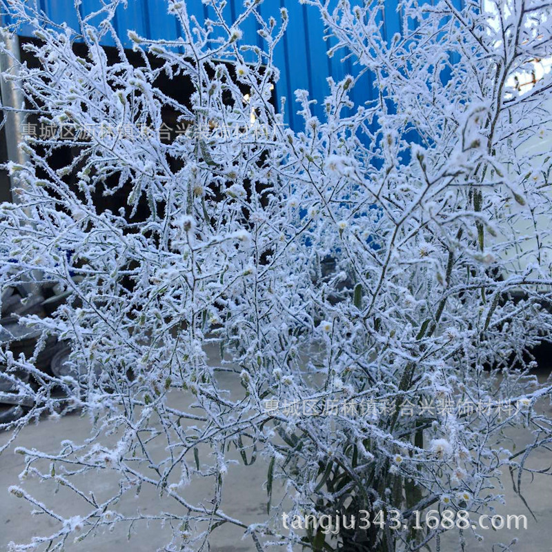 3391雪白雪绒粉 圣诞干枝枯枝雪效果装饰雪粉植绒